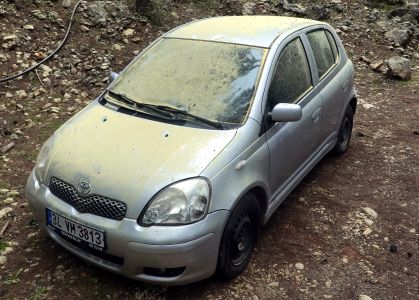 Auto pod nánosem pylu